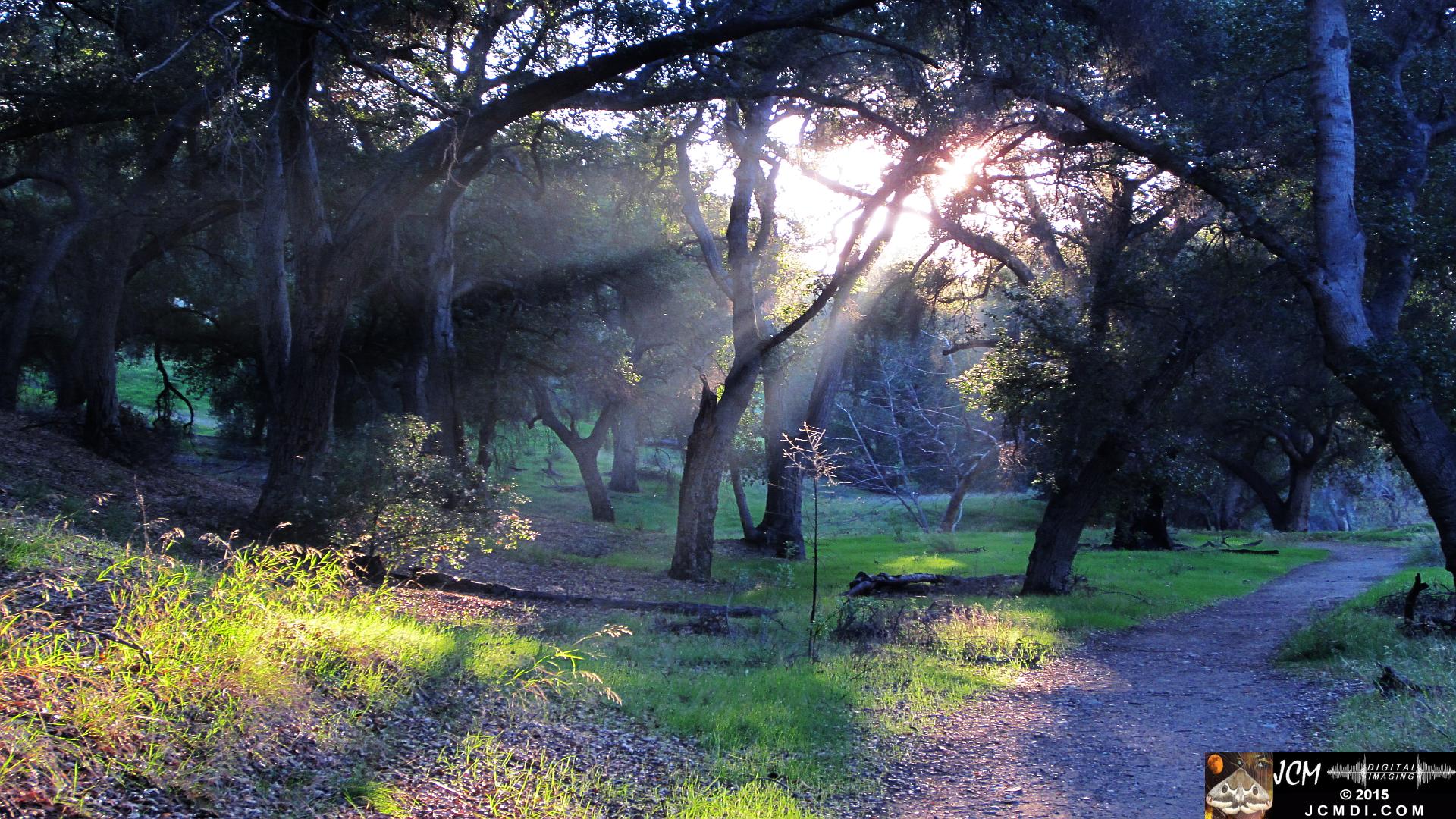 Whitney Canyon sunrays
